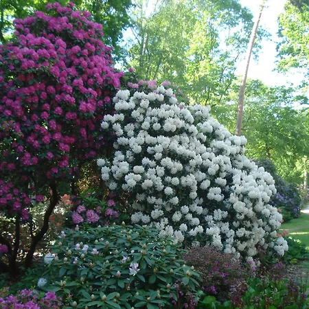 아파트 Kuestenwald - Seemannsknoten